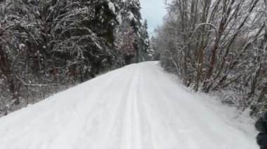 Arka kros kayağı, karla kaplı kozalaklı ağaçlar, aksiyon kamerası bakış açısı