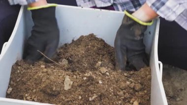 Bahçede çalışan eldiven kökleri veya daha büyük taşlar için kahverengi toprağı kontrol ediyor - yakın çekim ayrıntıları