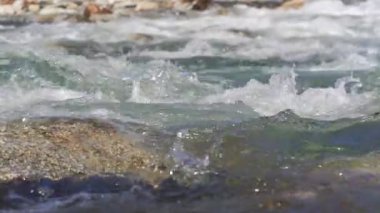Bahar nehrinde akan sular küçük kayaların üzerinde, yavaş çekim videoları