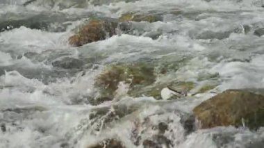 Buz kaplı taşların yanında akan kış nehri, yavaş çekim video detayı