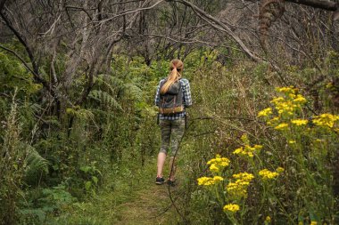 Yürüyüş kıyafetli genç bir kadın çimenlerde, çalılarda ve yakınlardaki kuru ağaçlarda yürüyor. Andringitra, Madagaskar 'da yürüyüş sırasında görülen tipik bir manzara.
