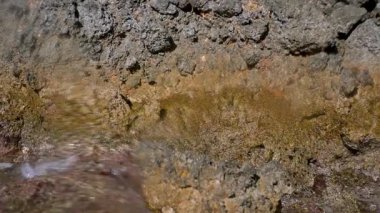 Korfu, Yunanistan 'da kayalık kıyı, deniz yüzeyindeki kayalıklarda büyüyen bitki ve yosunlar su altında yüzüyor. Limni' de şnorkelle yüzüyorlar.