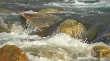 Nehir kayaların üzerinden akıyor güneşli bir günde, yakın çekim detayı, yavaş çekim videosu