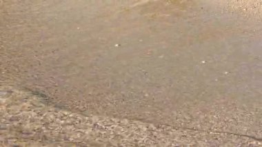 Kumsal, güneşle aydınlanıyor, deniz suyu kıyıya vuruyor, yakın plan ayrıntıları - tropikal tatil arka planının sığ derinliği