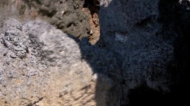 Denizde yürümek, kayalık kıyılarda dalgalar, suyun altına dalmak, bitkiler ve algler berrak sularda görülebilir.