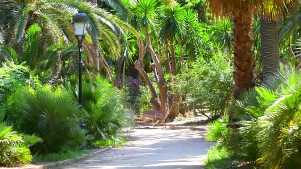 バルセロナでエキゾチックな公園 — ストック動画