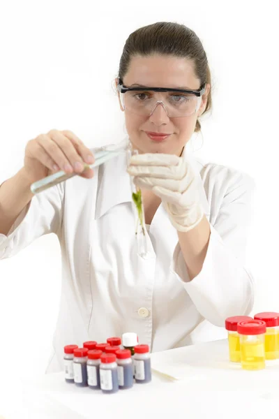 Vrouw bestuderen van planten in laboratorium — Stockfoto