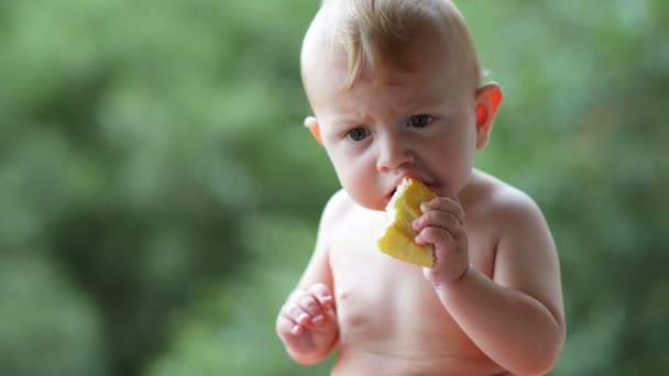 Bonito bebê comer pão — Vídeo de Stock