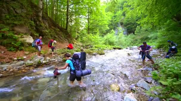 Überquerung des Flusses — Stockvideo