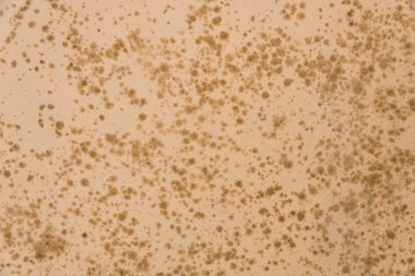 Çimento turuncu duvar