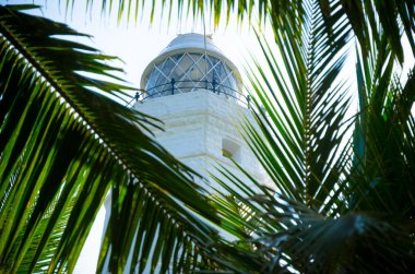 Beyaz deniz feneri Dondra kafa