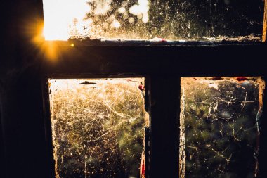 Güneş ışınları eski bir pencerenin üzerinde, örümcek ağlarıyla kaplı.
