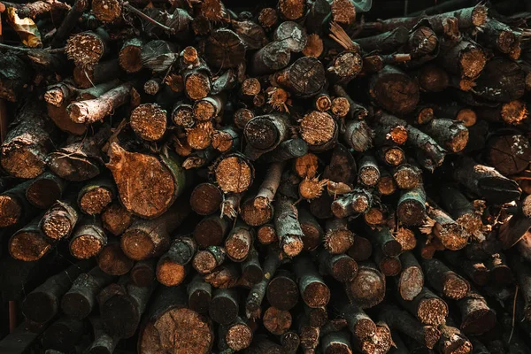 家を暖めるための冬の薪の準備1 — ストック写真