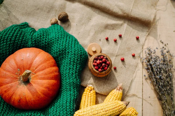 Cosecha Otoño Calabaza Naranja Grande Nueces Maíz Bayas Rojas Lavanda —  Fotos de Stock