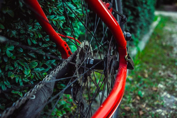 Details Red Bike Background Green Leaves — Stock Photo, Image