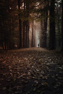 Yalnız bir adam sonbahar parkında sisli bir sokakta yürüyor.