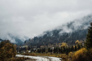Dağ nehri dağların arasında, sis ve ormanlarda akıyor.