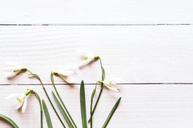 Narin bahar çiçekleri beyaz ahşap zemin üzerinde kar damlaları 1