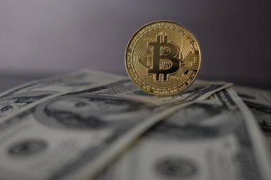 Bitcoin 'in Amerikan Doları ve Dijital parası bir araya getirildi. Dijital para kavramı dolar gibi büyük para birimlerinde bir rakip haline geliyor.