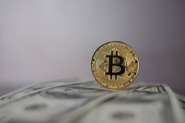 Bitcoin 'in Amerikan Doları ve Dijital parası bir araya getirildi. Dijital para kavramı dolar gibi büyük para birimlerinde bir rakip haline geliyor.