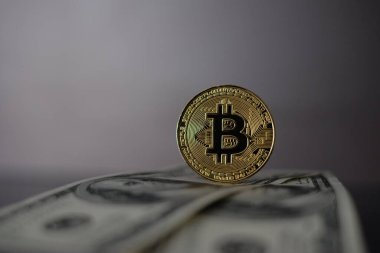 Bitcoin 'in Amerikan Doları ve Dijital parası bir araya getirildi. Dijital para kavramı dolar gibi büyük para birimlerinde bir rakip haline geliyor.