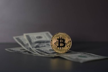 Bitcoin 'in Amerikan Doları ve Dijital parası bir araya getirildi. Dijital para kavramı dolar gibi büyük para birimlerinde bir rakip haline geliyor.