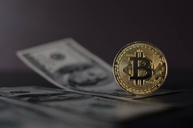 Bitcoin 'in Amerikan Doları ve Dijital parası bir araya getirildi. Dijital para kavramı dolar gibi büyük para birimlerinde bir rakip haline geliyor.