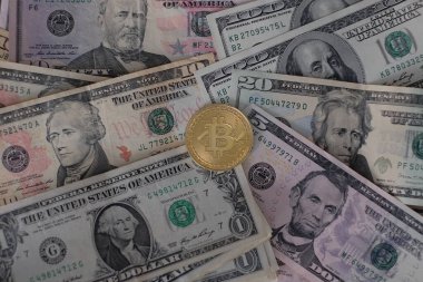 Bitcoin 'in Amerikan Doları ve Dijital parası bir araya getirildi. Dijital para kavramı dolar gibi büyük para birimlerinde bir rakip haline geliyor.