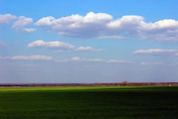 Pole wiosną — Zdjęcie stockowe