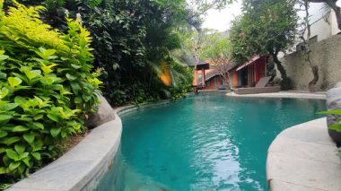 Tropikal bitkilerle dolu havuz manzarası