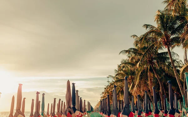 Palm Trees Beach — Stock Photo, Image