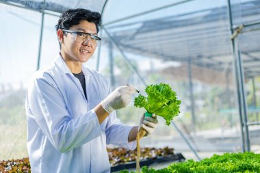 Bilimadamları çözeltiyi test eder, kimyasal inceleme, organik ve hidroponik çiftlikteki tazeliği kontrol eder..