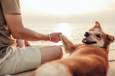 Bir adam, deniz gün batımına yakın bir köpek evcil hayvanıyla tek elini tutuyor.