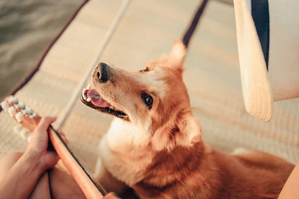 A man play guitar music song near the sea sunset and try wearing hat in dog head