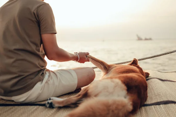 Uomo Tiene Una Mano Con Cane Compagnia Vicino Tramonto Del — Foto Stock