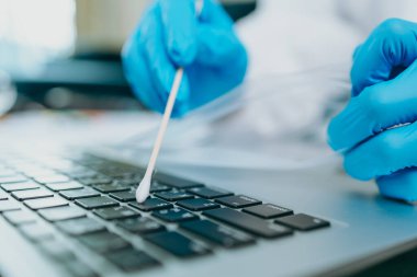 Bilim insanları virüsü evdeki laboratuvarda tutmak ve kontrol etmek için pamuk yarasa kullanıyor..