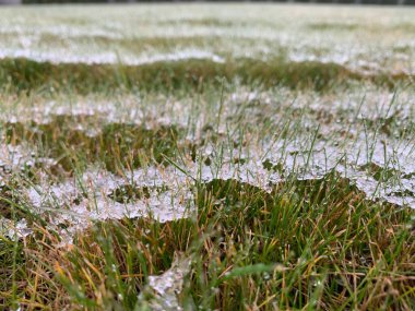 First snow and frozen grass