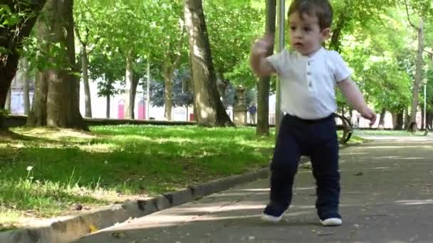 Video Eines Kindes Das Einem Stadtpark Gehen Beginnt Und Etwas — Stockvideo