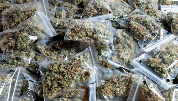 Photo Horizontale Certains Sacs Marihuana Médicale Préparés Pour Consommation — Photo