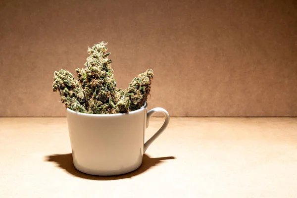 Pronto Consumare Germogli Marijuana Medica All Interno Una Tazza Caffè — Foto Stock