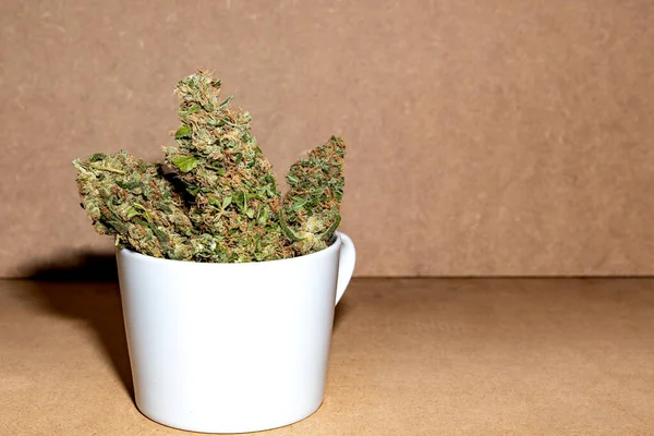 Listo Para Consumir Cogollos Marihuana Medicinal Dentro Una Taza Café — Foto de Stock