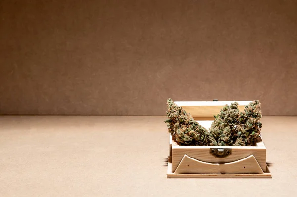 Détails Quelques Bourgeons Marihuana Médicale Dans Une Boîte Bois Approche — Photo