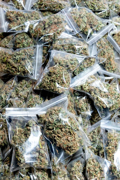 Vertikální Foto Některých Sáčků Lékařské Marihuany Připravených Spotřebě — Stock fotografie