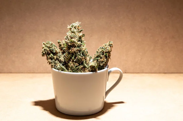 Pronto Consumare Germogli Marijuana Medica All Interno Una Tazza Caffè — Foto Stock