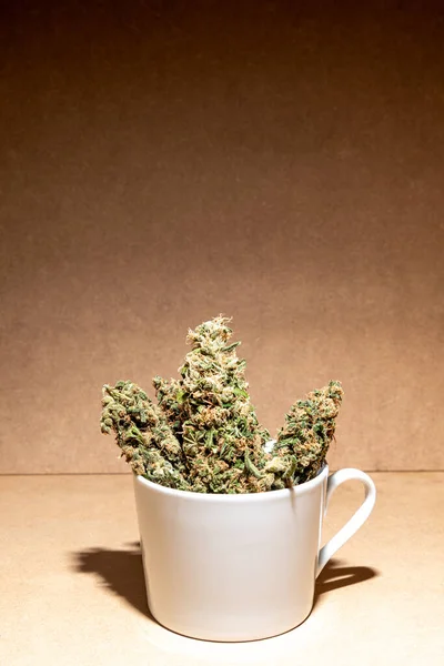 Marihuana Medicinal Brota Dentro Una Taza Café Enfoque Selectivo — Foto de Stock