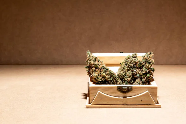 Détails Quelques Bourgeons Marihuana Médicale Dans Une Boîte Bois Focus — Photo