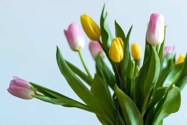 Details of pink and yellow tulips inside a green vase on a wooden table. White background and selective focus.