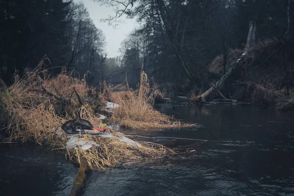 Nehrin arka planında sineklerle dolu bir kutu. Sinek avı.