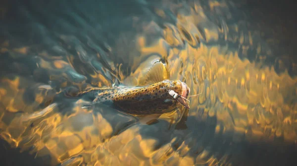 Forel Gevangen Bosbeek — Stockfoto