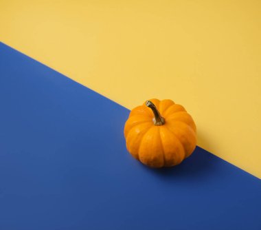 Klasik mavi ve sarı arka planda turuncu bir balkabağı. Şükran Günü ve Cadılar Bayramı konsepti. Boşluğu ve üst görünümü kopyala